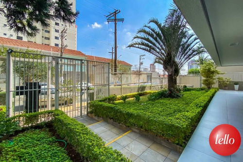 Imagem 20 de 30 de Apartamento - Ref: 245353