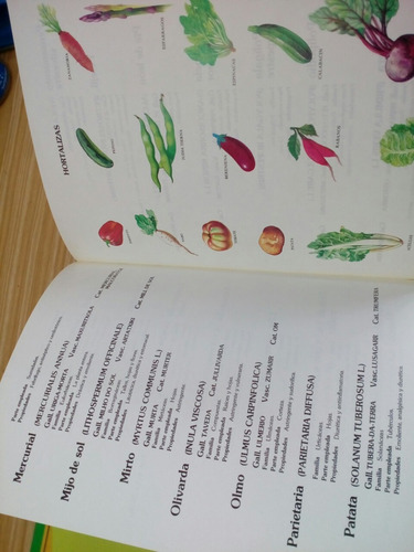 Enciclopedia De Medicina Natural Dr. Sagrera Ferrandiz Edito