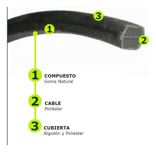Correa Industrial En V Doble Bb50 Jason/megadyne