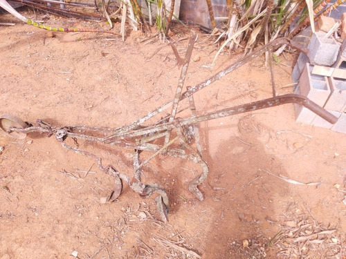 Arado Antigo De Tração Animal Canadá Séc Xix (Usado)