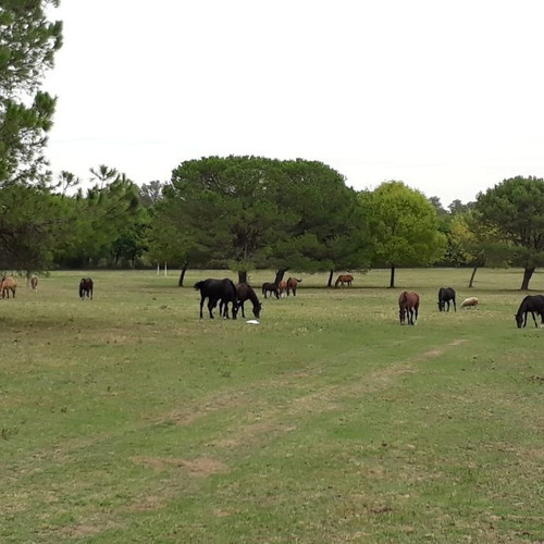 Imagen 3 de 10 de Lote En Venta En Belen De Escobar