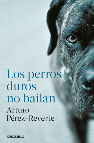 Los Perros Duros No Bailan - Perez-reverte, Arturo
