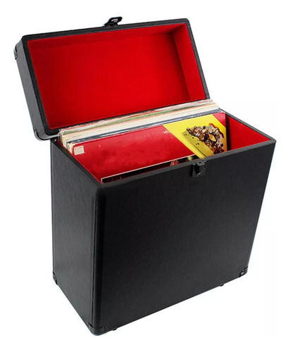Solución De Disco De Vinilo Eche Storage Of