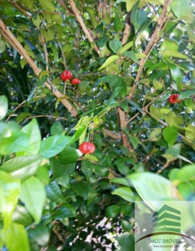 Granja A Venda Em Parnamirim