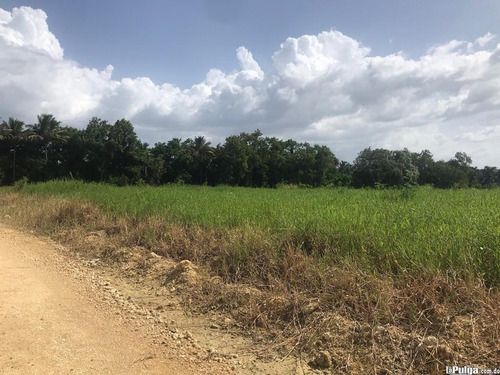 Imagen 10 de 17 de Vendo Solar Comercial De 150 A 385 Mt2 En Plena Avenida Ubicado En Residencial Privado Con Agua Luz Y Calles En Santo Domingo Norte Próximo A La Estación Del Metro Mamá Tingo, La Sirena Y El Parque V