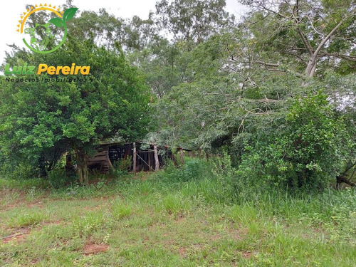 Imagem 1 de 10 de Fazenda À Venda Em Ribas Do Rio Pardo - Ms - De 290 Hectares (pecuária) - 1774