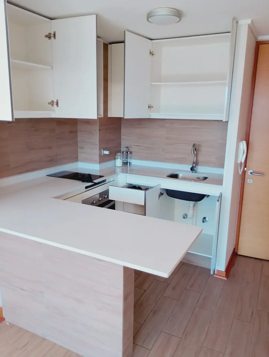 Imagen 3 de 17 de Excelente Departamento En Venta 1 Dorm. Plaza Las Lilas.