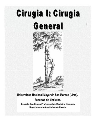 Cirugía I. Cirugía General (volumen I) Segunda Edición, De Bazán Gonzales, Alejandro. Fondo Editorial Unmsm Peru, Tapa Blanda En Español, 2010