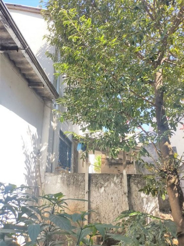 Imagem 7 de 8 de Terreno Na Penha Com 300m² - Te0155