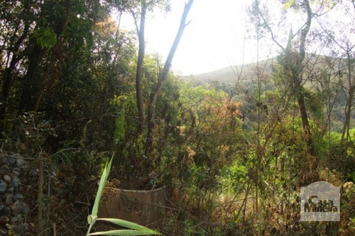 Imagem 6 de 10 de Lote Em Condomínio À Venda No Arvoredo - Código 218875 - 218875