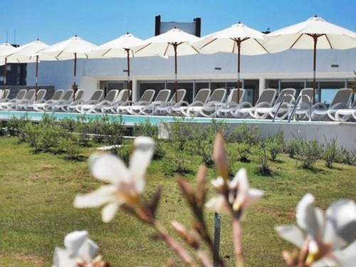Imagen 10 de 17 de Departamento En Venta En Playa Brava