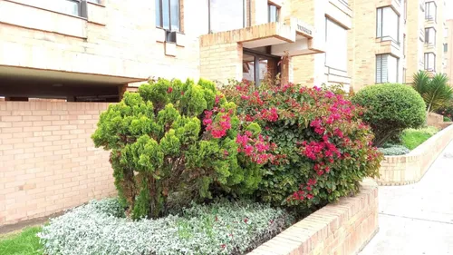 Apartamento En Venta En Barrio Maldonado. Cod V15963