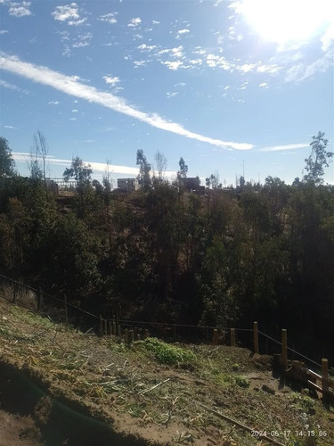 Sitio En Venta En Quintero