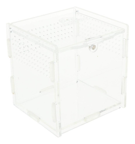Nuevo Caja De Cría Tortuga Arañas Accesorios De Blanco 1
