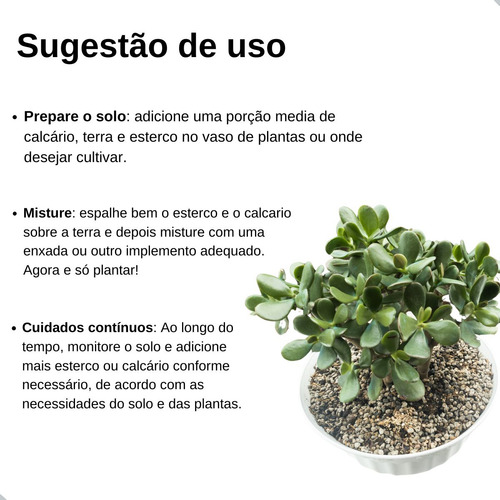 Kit Terra, Esterco E Calcário Para Horta E Jardinagem