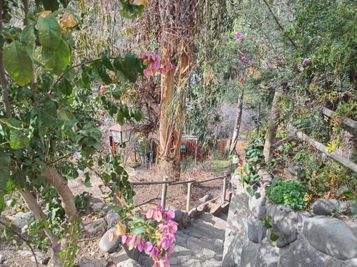 Sector El Arrayán