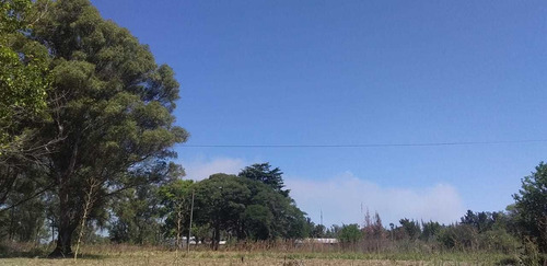 Imagen 6 de 8 de Venta Terreno Ruta Provincial 6 18441m2 Zarate