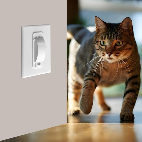 Cubierta Protectora Para Interruptor De Luz, 4 Cubiertas De