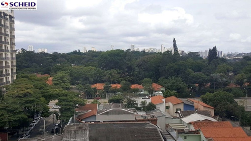 Imagem 12 de 15 de $tipo_imovel Para $negocio No Bairro $bairro Em $cidade - Cod: $referencia - Mr58486