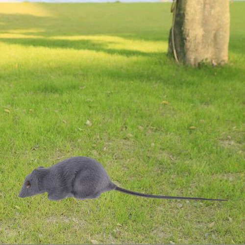 Rato Realista Pele Falsa