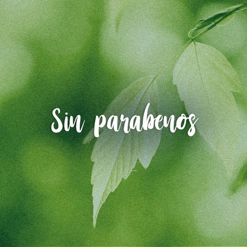 Acondicionador Savia Natural Con Aloe Vera Y Matcha Inecto