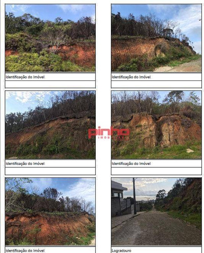 Imagem 6 de 6 de Terreno À Venda, 2130 M² Por R$ 136.750,00 - Jardim Janaína - Biguaçu/sc - Te0004