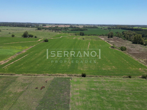 Venta. Campo 17,5 Has. Industrial. Ruta 6. Luján. Límite Con Exaltación De La Cruz