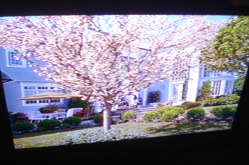 Vhs Las Mujeres Perfectas ( The Stepford Wives, 2004) (Usado)