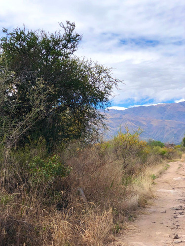 Imagen 2 de 14 de Lote De 2500 M2 Ubicado En Las Chacras - Villa De Las Rosas