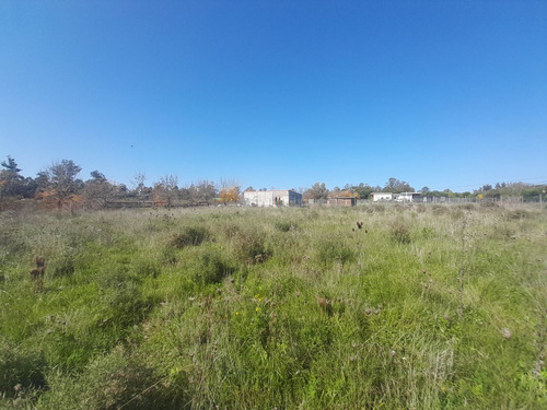 Terreno En Venta En Miramar Acres