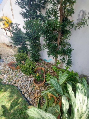 Imagem 17 de 30 de Casa Com 3 Dormitórios À Venda, 245 M² Por R$ 1.600.000,00 - Ingleses Do Rio Vermelho - Florianópolis/sc - Ca0314
