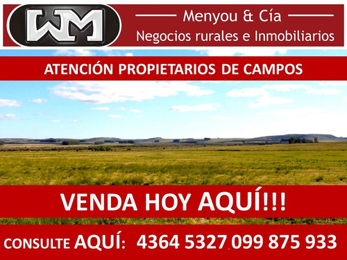 Imagen 4 de 13 de Venta Compra De Campos De 200has A 2500has Forestal Ganadero