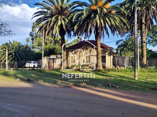 Propiedad Con 6000 Metros Cuadrados De Terreno Con Otro Apartamento
