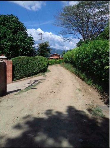 Venta Lote La Cabaña, Manizales. Cod 3803085