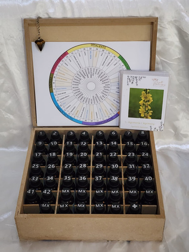Kit Flores De Bach 56 Frascos + Curso Para Ser Terapeuta