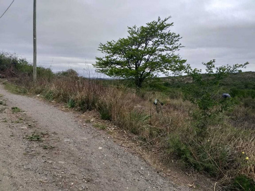 Imagen 6 de 8 de Vendo Lote En San Nicolas