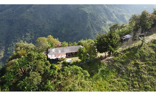 Venta Finca 77000 Mts2 Abejorral Vereda El Guaico