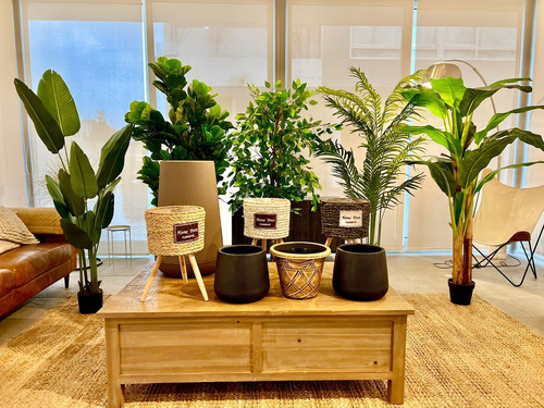 Planta Artificial Ficus Lyrata 150 Cm 180 Hjs / Arbusto Real