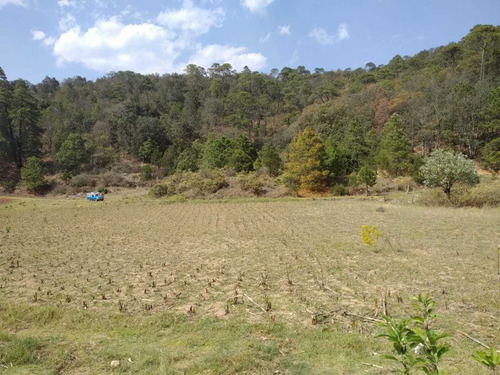 Imagen 5 de 8 de Terreno 32,000m² En San Joaquín Querétaro Con Escrituras