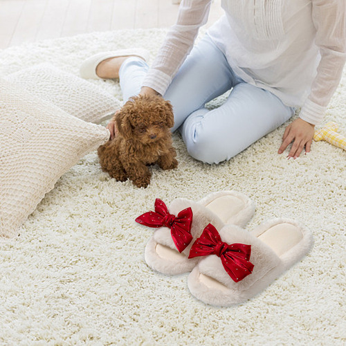 Zt Slipper Nuevos Y Cómodos De Pajaritas Lindas Mujer
