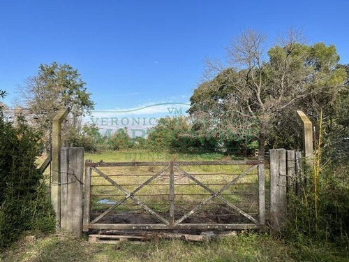 Imagen 8 de 8 de Terreno En Venta En 3216 M2 Fátima Manzanares Pilar