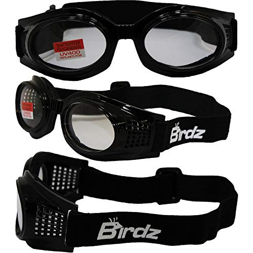 Gafas Moto Birdz Kite