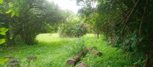 Venta Terreno 1087,91 M² - San Pablo De Reyes