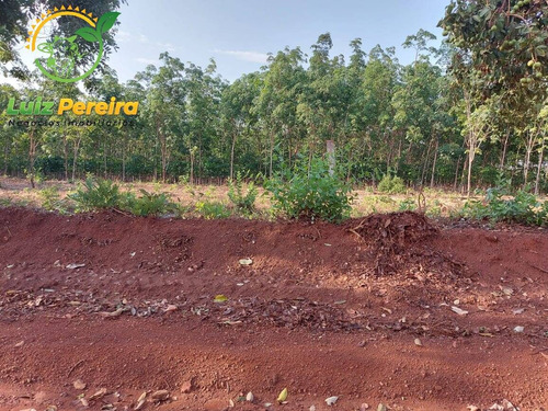 Imagem 4 de 12 de Fazenda À Venda Em Abreulândia - 696,96 Hectares (dupla Aptidão) - 2023