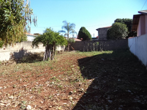 Imagem 4 de 4 de Terreno Murado Com Leve Aclive 308m2, Em Barão Geraldo - Te00432 - 69696337