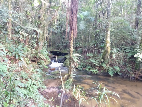 Imagem 8 de 9 de Terreno Vargedo 41 Alqueires
