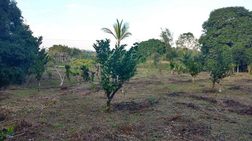 Venta Terreno 5000 M2 Frente Al Estero De Juana Moza Tuxpan Veracruz