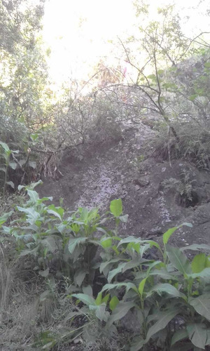 Imagen 9 de 11 de Campo En Las Sierras, Montañas Pero En Traslasierra $ 1.500.000 La Hectárea Al 020123