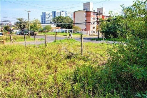 Imagem 2 de 11 de Terreno - Jardim Leopoldina - Ref: 590803 - V-ca5192