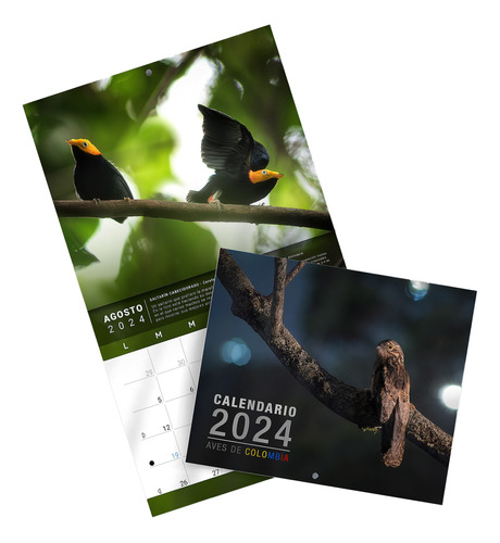 Calendario Planeador De Pared  Aves De Colombia  2024